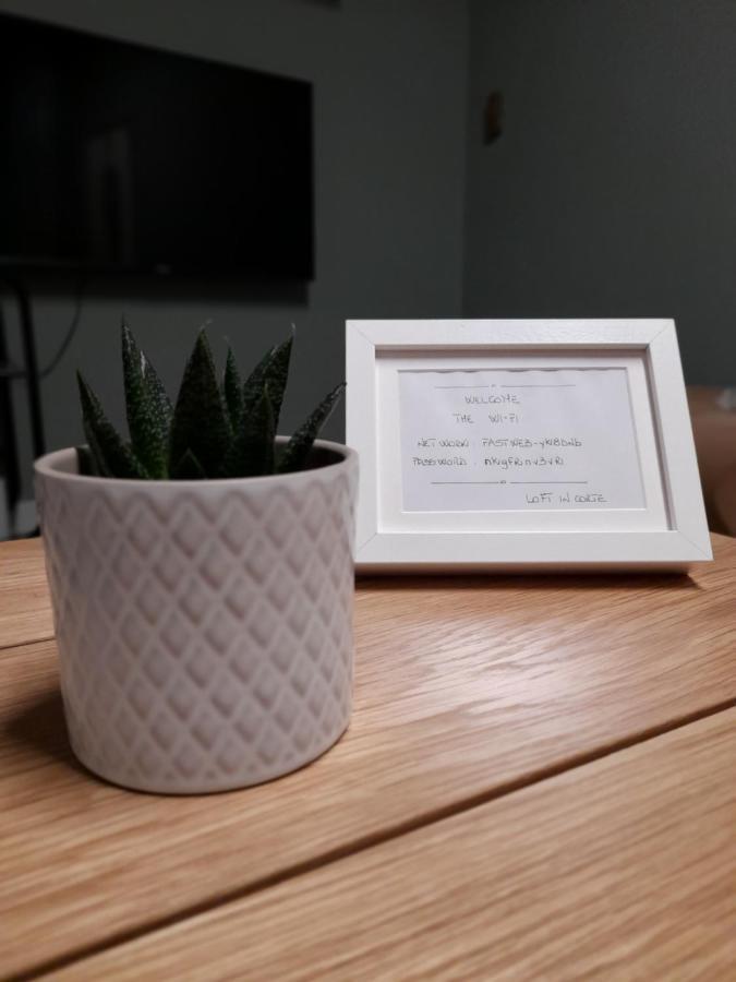Loft In Corte Торино Екстериор снимка